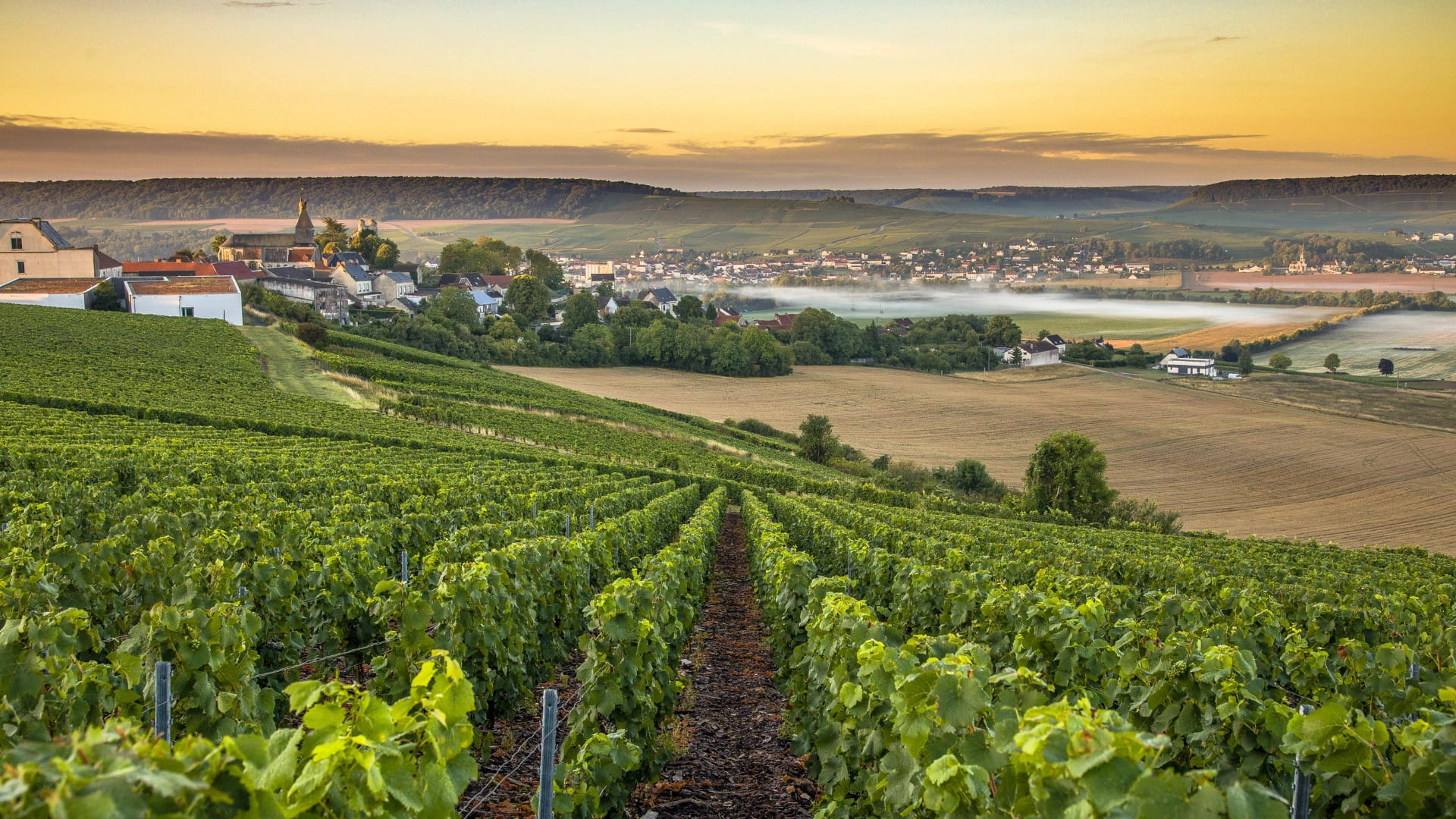séjour découverte en Champagne