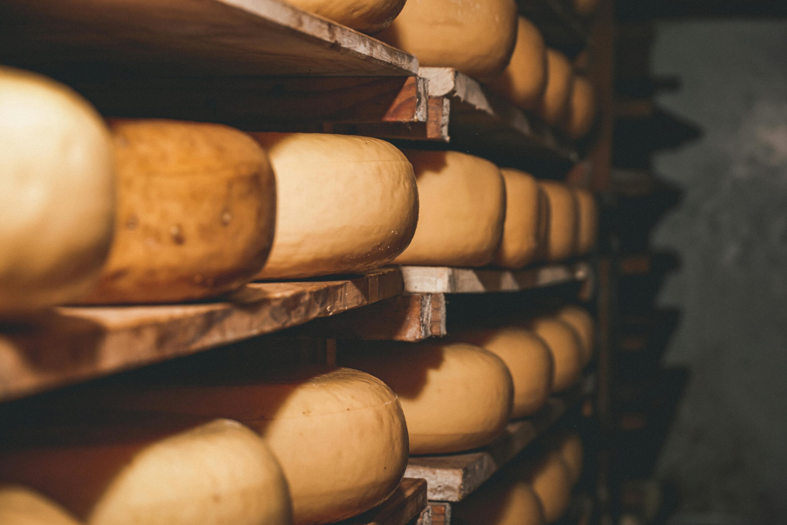 Pyrénées les raclettes, fromages et charcuteries