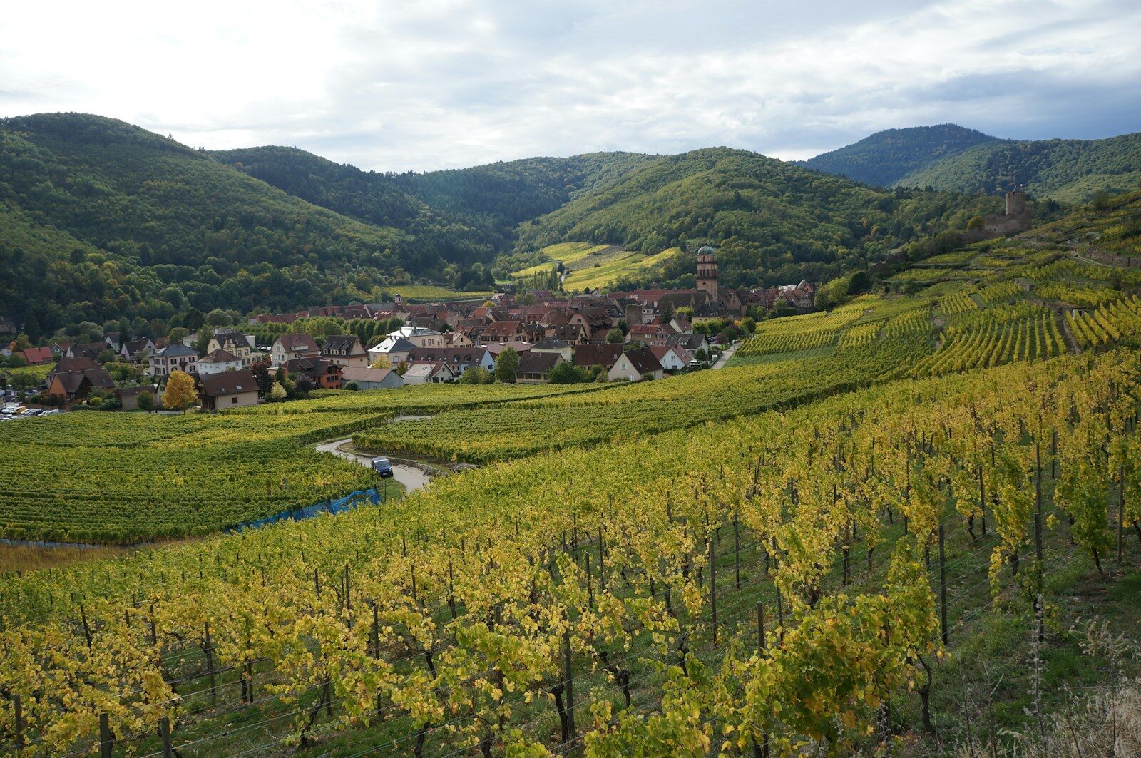 ALSACE TERRE D'HISTOIRE, D'AUTHENTICITÉ ET DE GASTRONOMIE