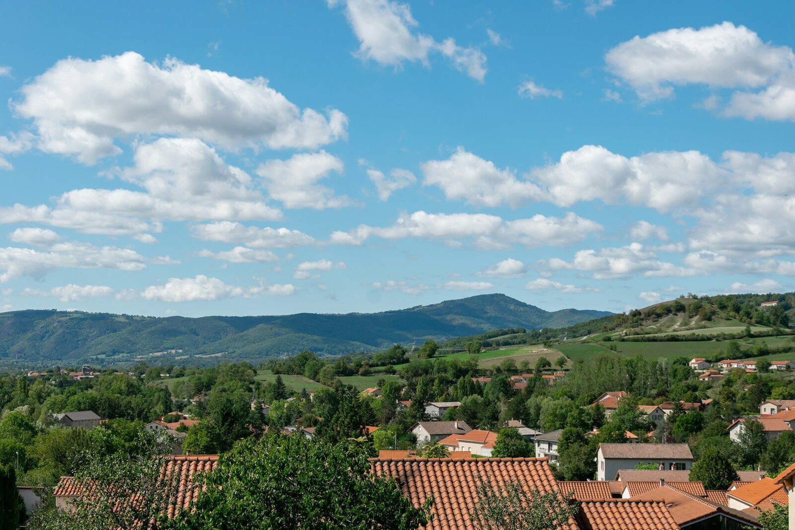 terroir Auvergnat