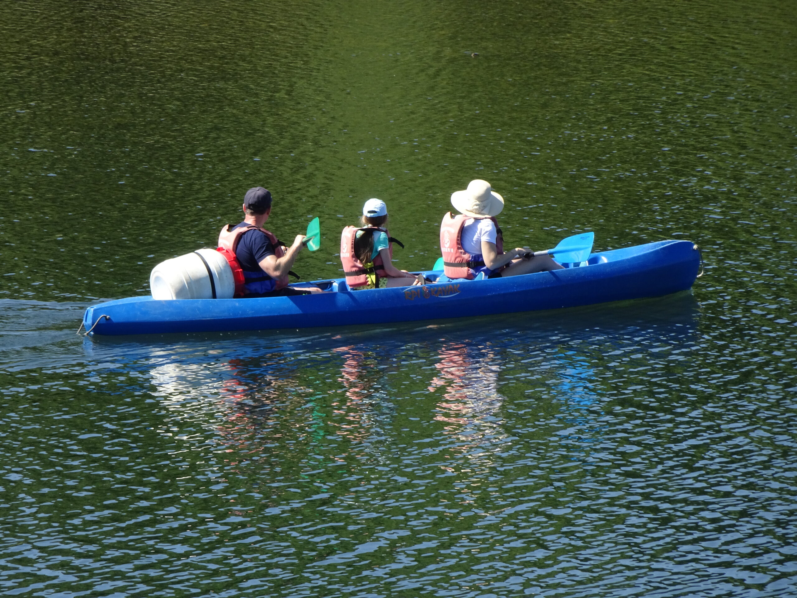 Canoë sur la rivière au fond des gorges de l’Ardèche. Celeda — licence CC BY-SA 4.0 — Wikimedia Commons.