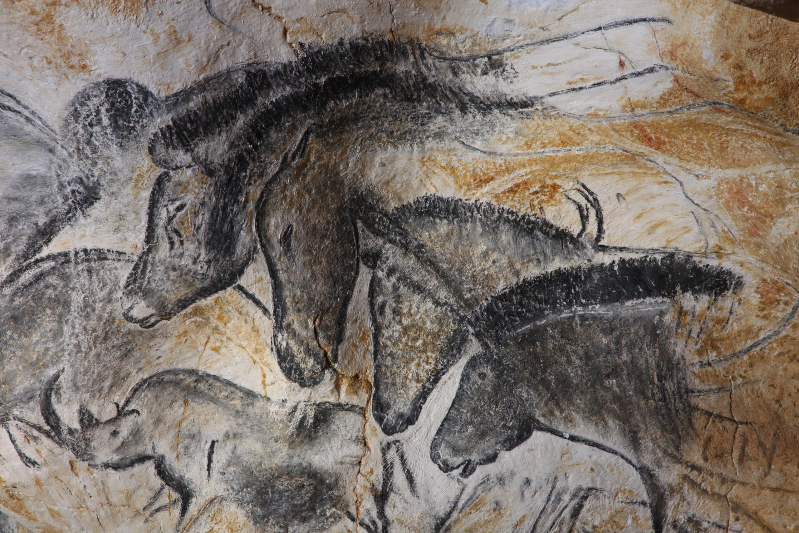 Détail du panneau des chevaux reproduit à la Grotte Chauvet 2 en Ardèche. Communication Grotte Chauvet 2, photo Patrick Aventurier — licence CC BY-SA 4.0 — Wikimedia Commons.