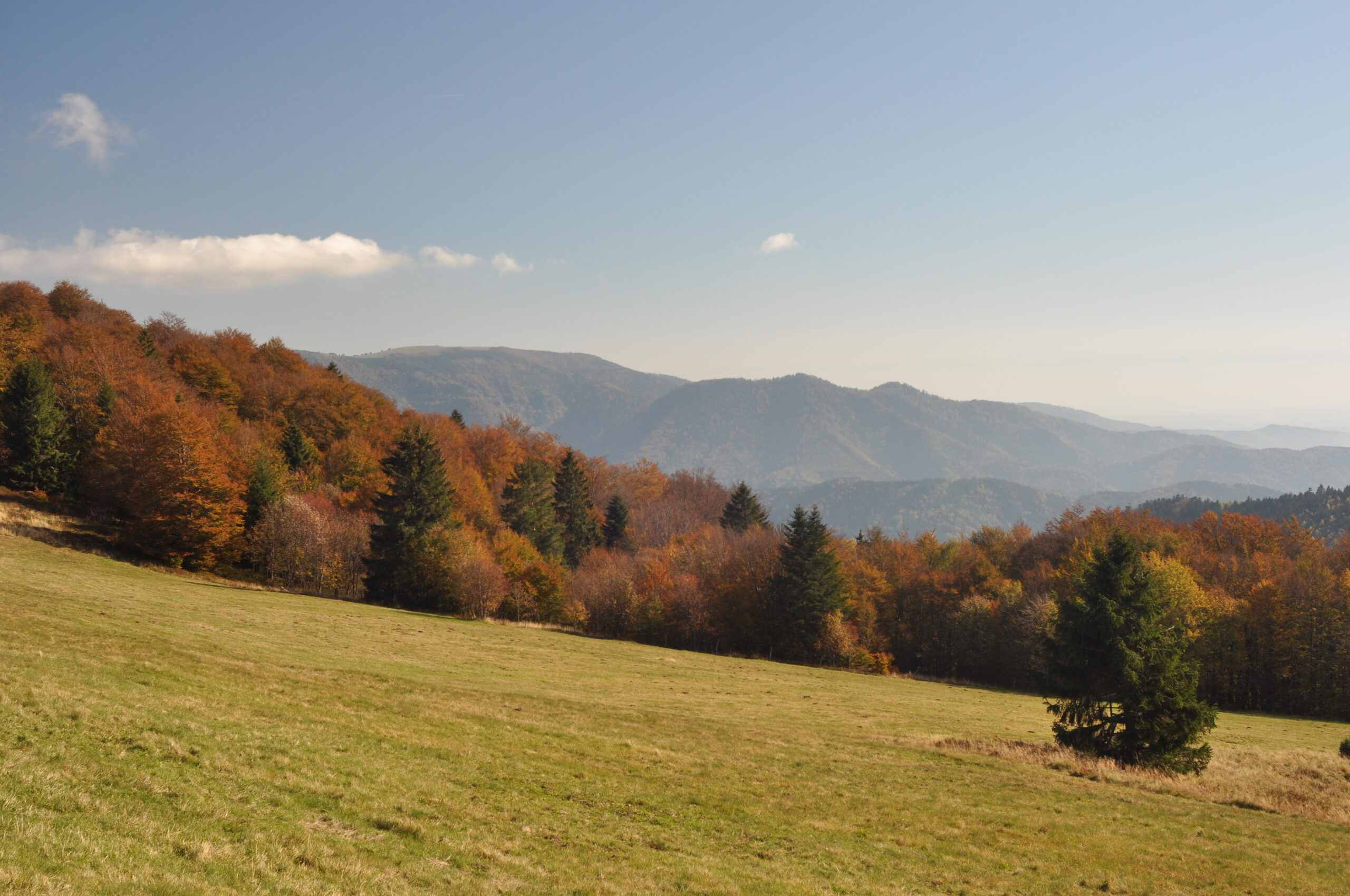 Paysage de montagne dans le massif des Vosges pour un voyage en groupe. Jean-François Azens / Wikimedia Commons — CC BY-SA 3.0 — image recadrée