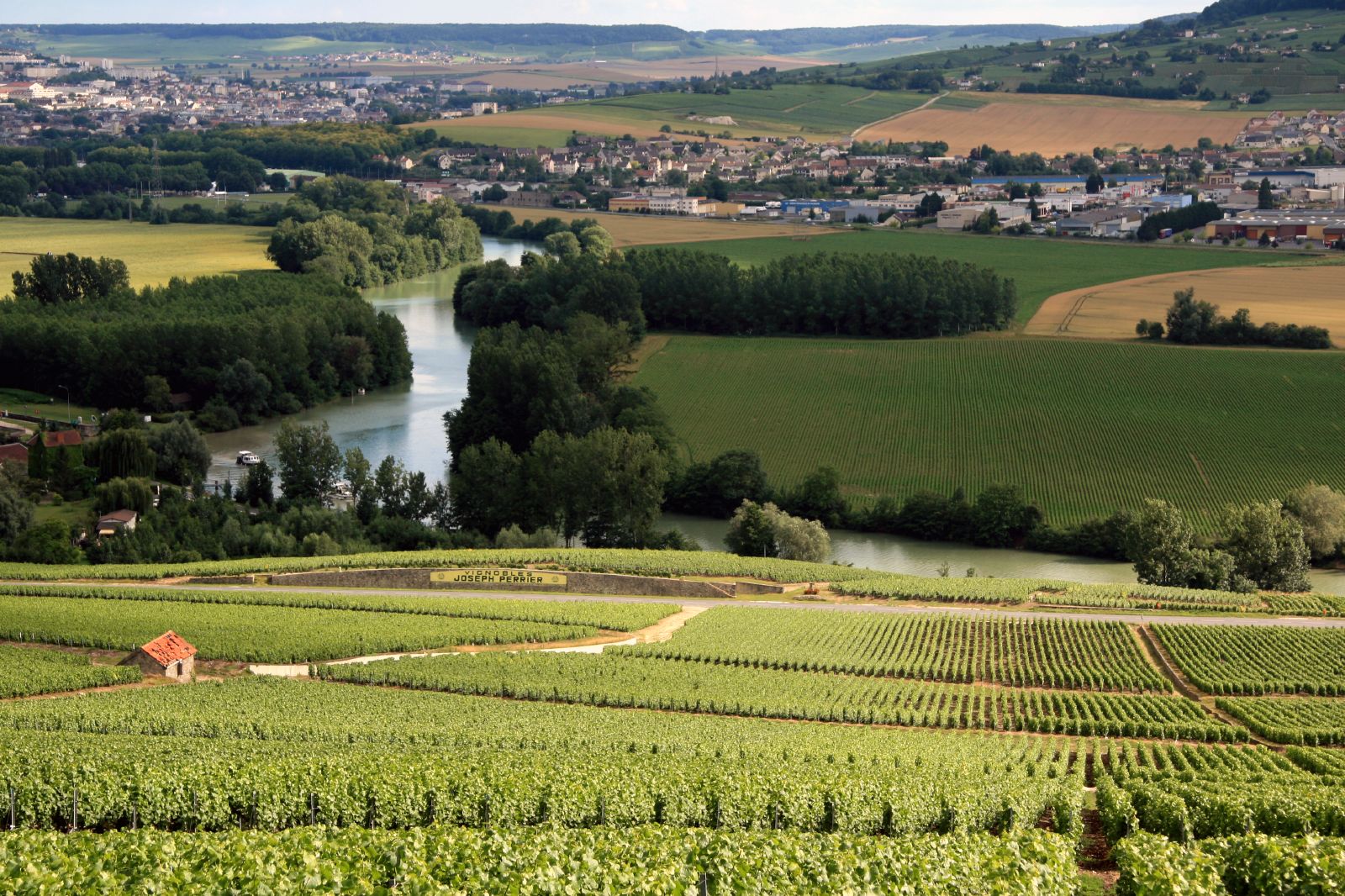 Vignobles de Champagne traversés lors d’un séjour dans l’Est de la France en groupe. Rob et Lisa Meehan / Wikimedia Commons — CC BY 2.0 — image recadrée