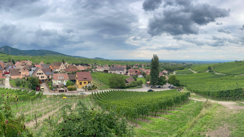 Visiter l’Est de la France en groupe : circuits entre Alsace, Vosges et Champagne