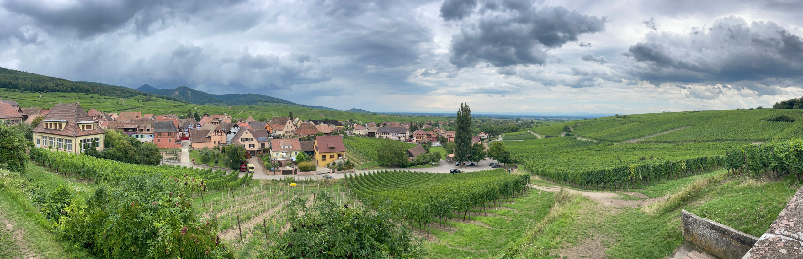 Visiter l’Est de la France en groupe : circuits entre Alsace, Vosges et Champagne