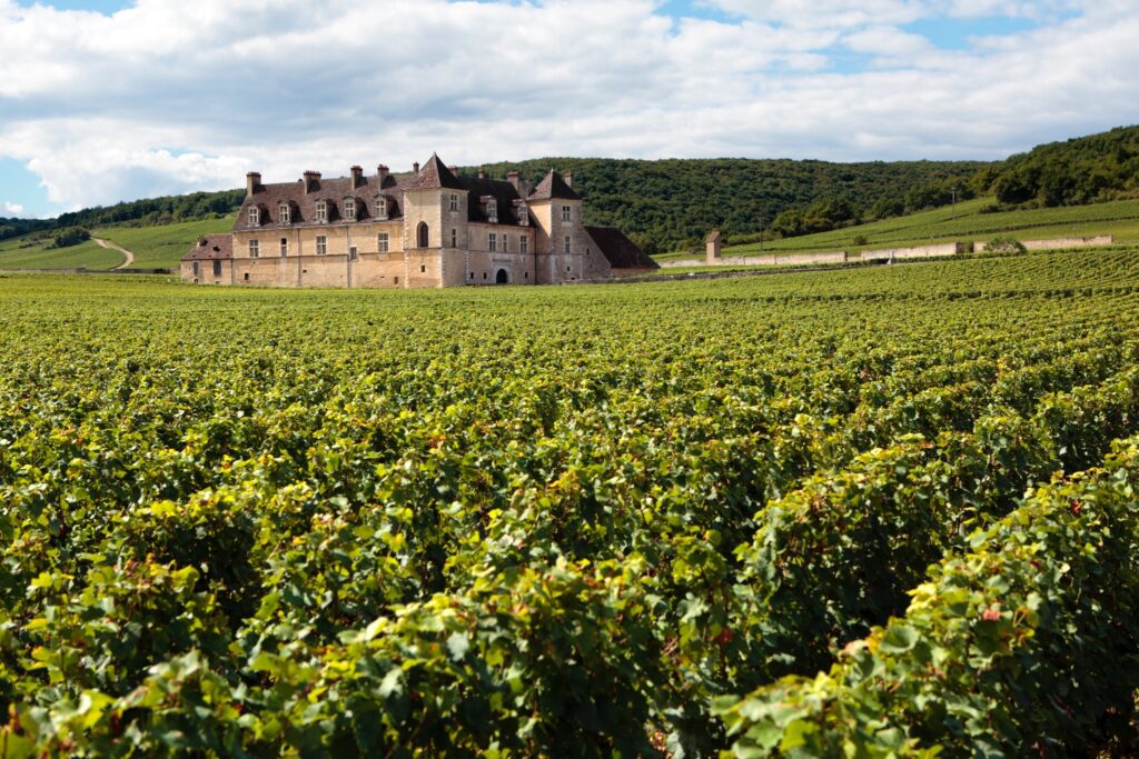 Château au cœur des vignobles pour une excursion de groupe en septembre