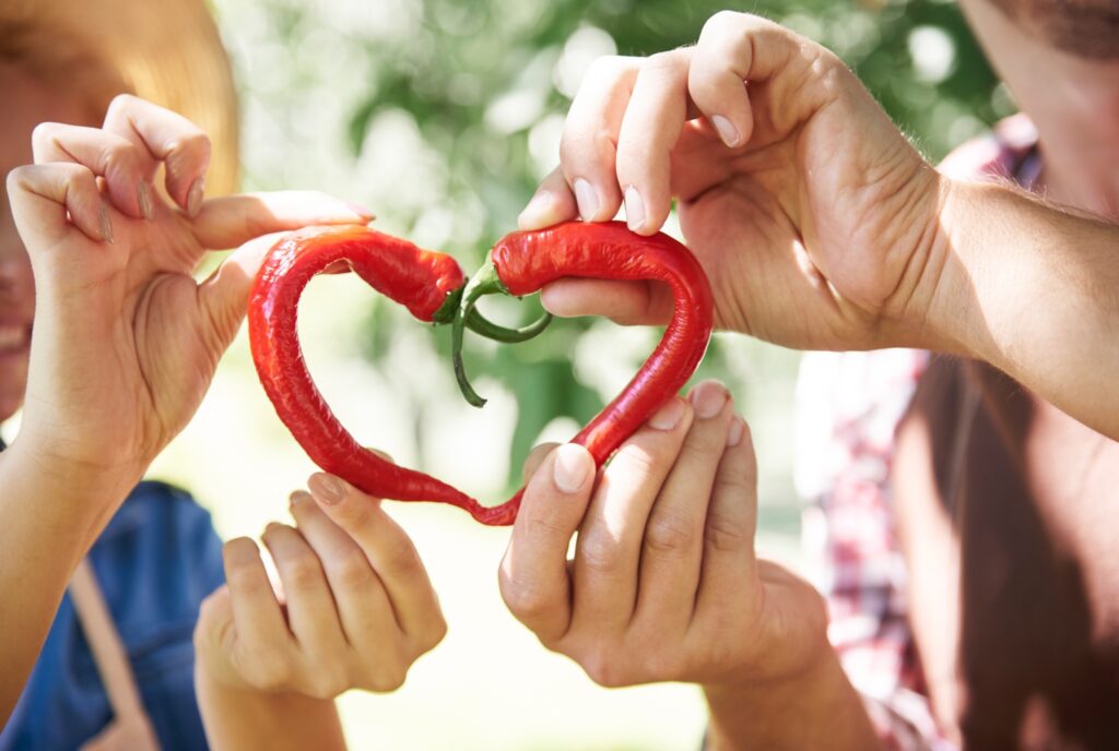 Piments rouges en forme de cœur lors de la Fête du Piment d’Espelette
